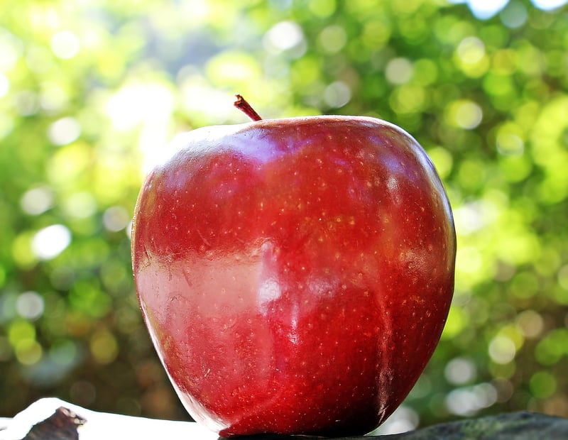 Baked Apple Chips