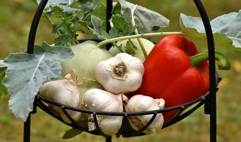 Plant-Based Meal